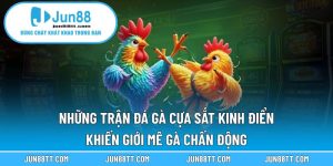 Những Trận Đá Gà Cựa Sắt Kinh Điển Khiến Giới Mê Gà Chấn Động 9 những trận đá gà cựa sắt kinh điển