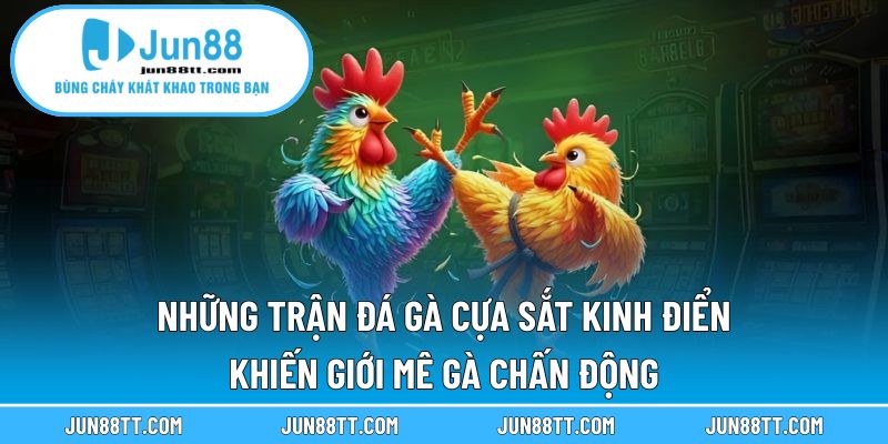 Những Trận Đá Gà Cựa Sắt Kinh Điển Khiến Giới Mê Gà Chấn Động 14 những trận đá gà cựa sắt kinh điển